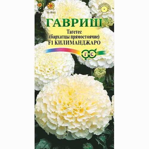 Бархатцы прямостоячие (тагетес) Килиманджаро F1 Гавриш изображение 1 артикул 91965