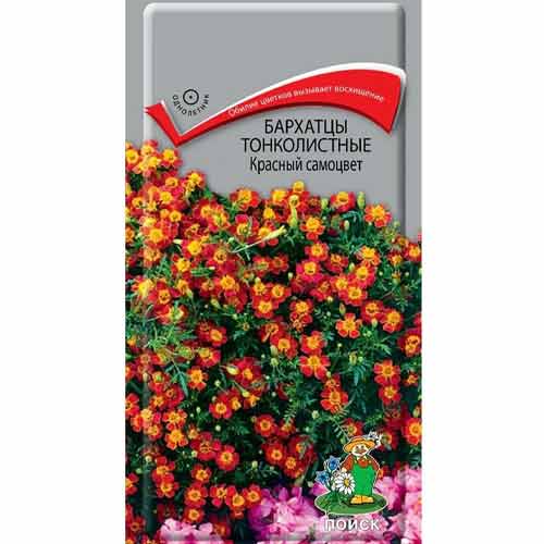 Бархатцы Красный самоцвет Поиск изображение 1 артикул 82080
