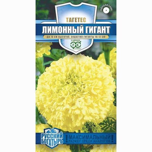 Бархатцы прямостоячие (тагетес) Лимонный гигант Гавриш изображение 1 артикул 71130