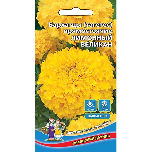 Бархатцы Лимонный великан Уральский дачник изображение 1 артикул 94764