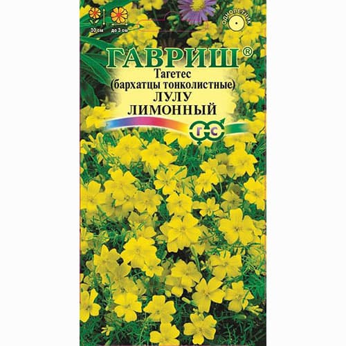 Бархатцы тонколистные (тагетес) Лулу лимонный Гавриш изображение 1 артикул 66018