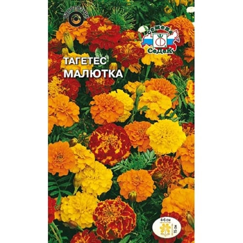 Бархатцы Малютка, смесь окрасок Седек изображение 1 артикул 93665