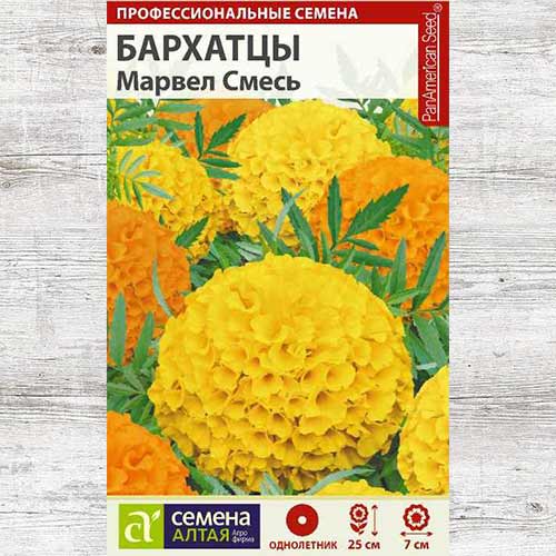 Бархатцы Марвел, смесь окрасок артикул фото 1 Бархатцы Марвел, смесь окрасок изображение 1 артикул 81622