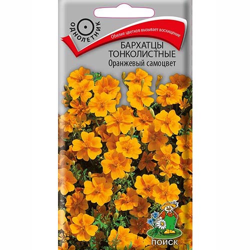 Бархатцы Оранжевый самоцвет Поиск изображение 1 артикул 82082