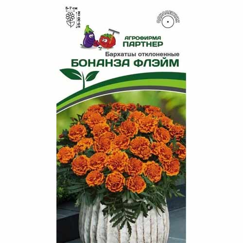 Бархатцы отклоненные Бонанза Флэйм Партнер артикул фото 1 Бархатцы отклоненные Бонанза Флэйм Партнер изображение 1 артикул 88060