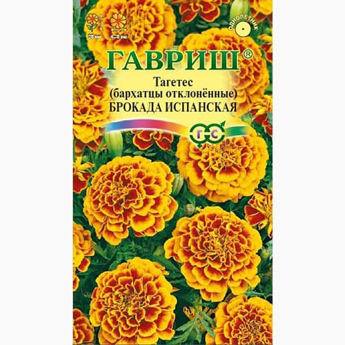 Бархатцы отклоненные (тагетес) Брокада испанская Гавриш изображение 1 артикул 97599