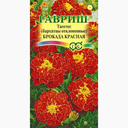 Бархатцы отклоненные (тагетес) Брокада красная Гавриш артикул фото 1 Бархатцы отклоненные (тагетес) Брокада красная Гавриш изображение 1 артикул 97600