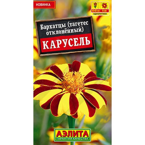 Бархатцы отклоненный (тагетес) Карусель, смесь окрасок Аэлита изображение 1 артикул 98871