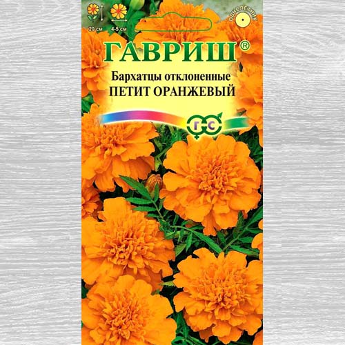 Бархатцы Петит оранжевый Гавриш изображение 1 артикул 73807