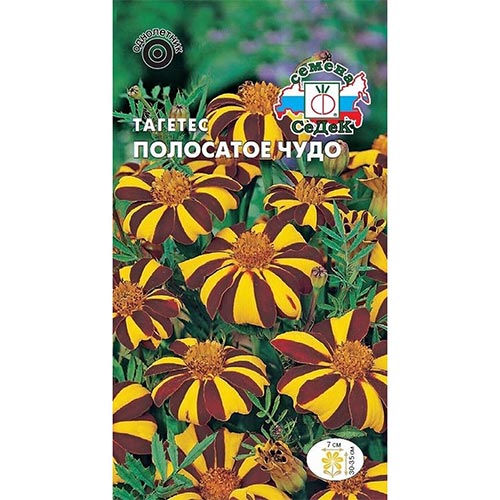 Бархатцы Полосатое чудо Седек изображение 1 артикул 93667
