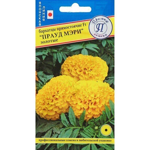 Бархатцы Прауд Мэри золотые F1 Престиж артикул фото 1 Бархатцы Прауд Мэри золотые F1 Престиж изображение 1 артикул 73624