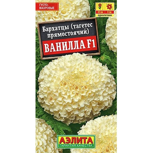 Бархатцы прямостоячие Ванилла F1 Аэлита изображение 1 артикул 40293