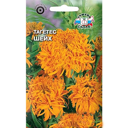 Бархатцы Шейх Седек изображение 1 артикул 93671