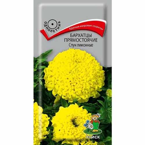 Бархатцы Спун лимонные Поиск изображение 1 артикул 92907