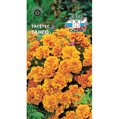 Бархатцы Танго Седек изображение 1 артикул 93669