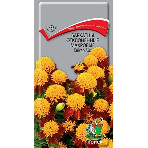 Бархатцы Тайгер Айс Поиск изображение 1 артикул 92909