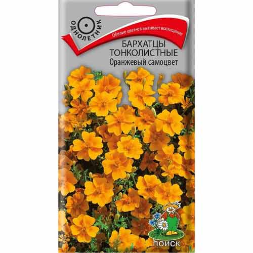 Бархатцы тонколистные Оранжевый самоцвет Поиск артикул фото 1 Бархатцы тонколистные Оранжевый самоцвет Поиск изображение 1 артикул 97867