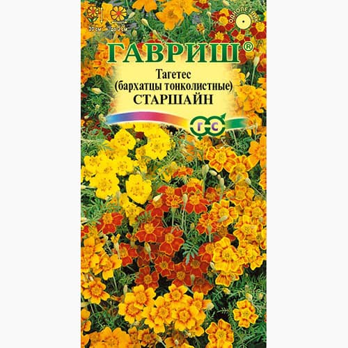 Бархатцы тонколистные (тагетес) Старшайн, смесь окрасок Гавриш изображение 1 артикул 97604