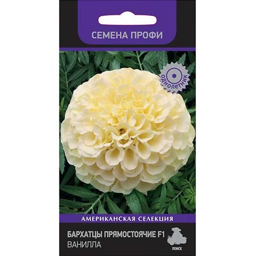 Бархатцы Ванилла F1 Поиск изображение 1 артикул 92904