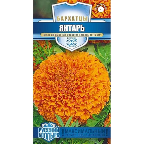 Бархатцы Янтарь Гавриш изображение 1 артикул 91970