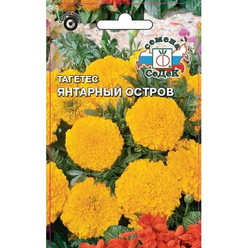 Бархатцы Янтарный остров Седек изображение 1 артикул 93672