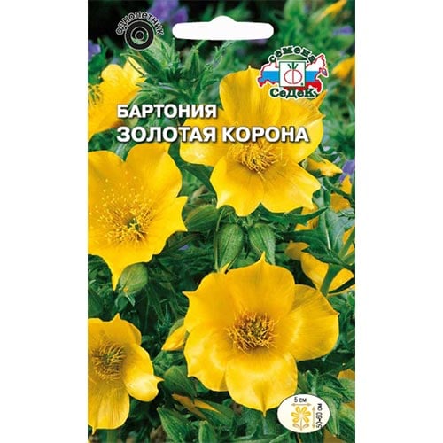 Бартония Золотая корона Седек изображение 1 артикул 93660