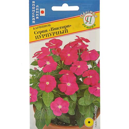 Барвинок Виктори Пурпурный Престиж изображение 1 артикул 71422