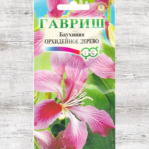 Баухиния Орхидейное дерево Гавриш изображение 1 артикул 71132