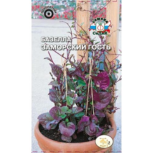 Базелла Заморский гость Седек изображение 1 артикул 93655