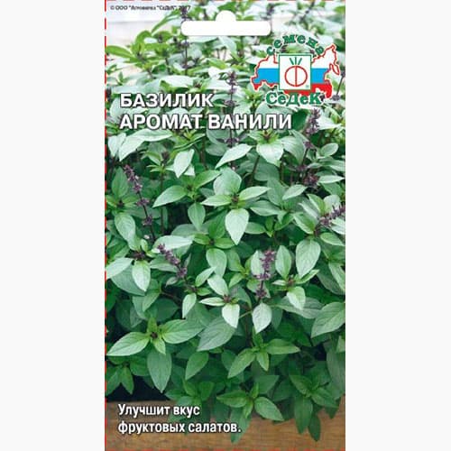Базилик Аромат ванили Седек артикул фото 1 Базилик Аромат ванили Седек изображение 1 артикул 84861