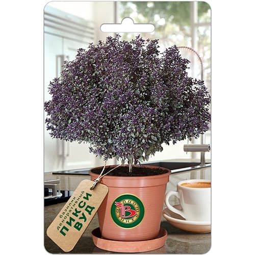 Базилик декоративный Пикси Вуд Биотехника изображение 1 артикул 97118