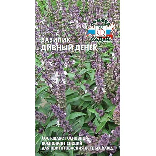 Базилик Дивный денек Седек изображение 1 артикул 93268
