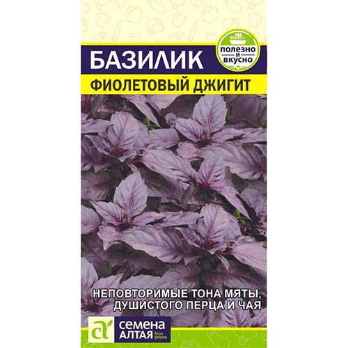 Базилик Джигит Семена Алтая артикул фото 1 Базилик Джигит Семена Алтая изображение 1 артикул 81438