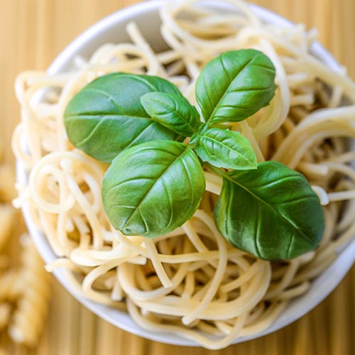 Базилик Для спагетти Седек артикул фото 1 Базилик Для спагетти Седек изображение 1 артикул 84863