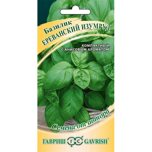 Базилик Ереванский изумруд Гавриш изображение 1 артикул 91640