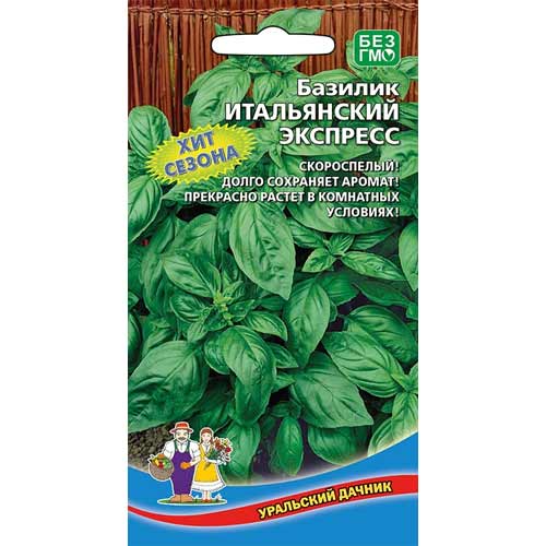 Базилик Итальянский экспресс Уральский дачник артикул фото 1 Базилик Итальянский экспресс Уральский дачник изображение 1 артикул 94455