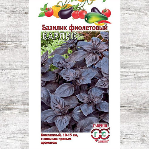 Базилик Карлик фиолетовый Гавриш изображение 1 артикул 65921