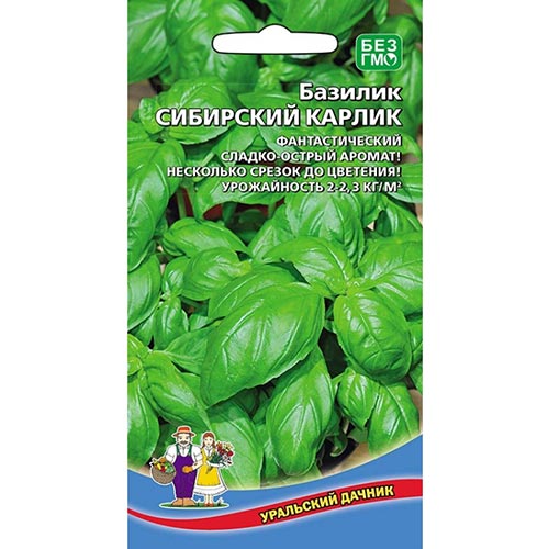Базилик Карлик сибирский Уральский дачник изображение 1 артикул 94456