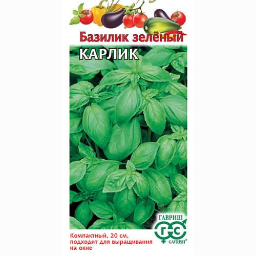 Базилик Карлик зеленый Гавриш артикул фото 1 Базилик Карлик зеленый Гавриш изображение 1 артикул 65922