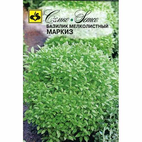 Базилик мелколистный Маркиз зеленый Семко изображение 1 артикул 82646