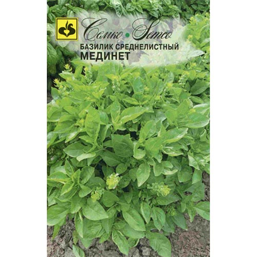 Базилик Мединет Семко изображение 1 артикул 94230