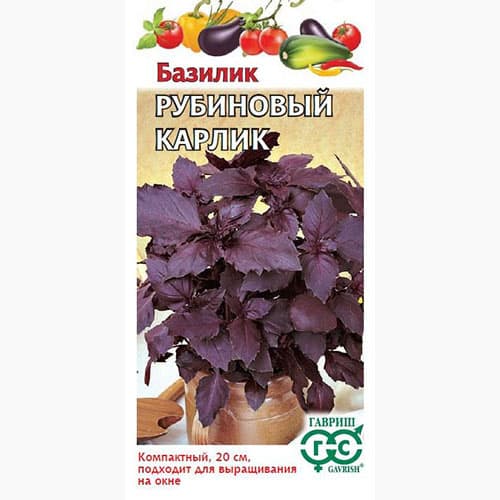 Базилик Рубиновый карлик Гавриш изображение 1 артикул 97394