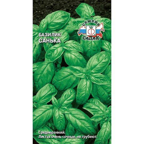 Базилик Санька Седек изображение 1 артикул 93270
