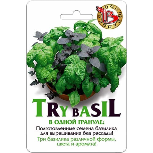 Базилик Try Bazil БукетАрома, смесь сортов Биотехника изображение 1 артикул 97121