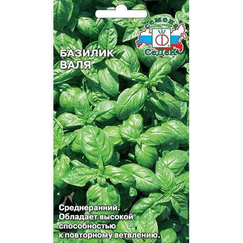 Базилик Валя Седек изображение 1 артикул 93265