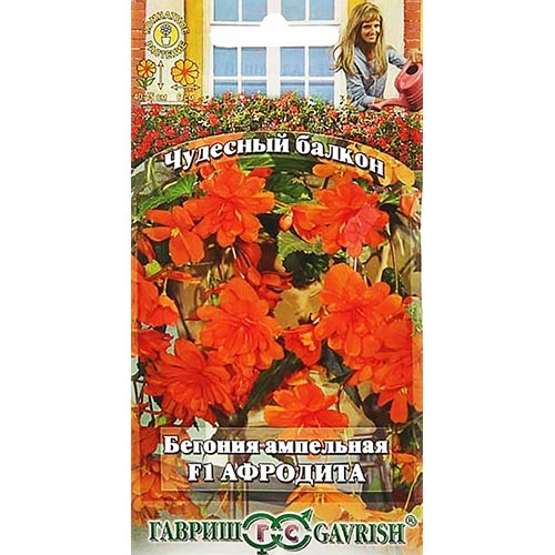 Бегония Афродита F1 Гавриш изображение 1 артикул 91972