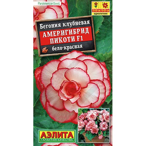 Бегония Америгибрид Пикоти бело-красная F1 Аэлита изображение 1 артикул 98890