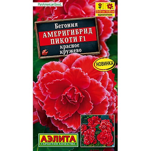 Бегония Америгибрид Пикоти красное кружево F1 Аэлита изображение 1 артикул 98882