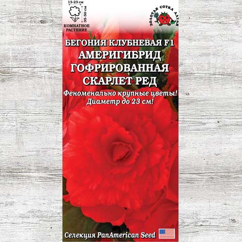 Бегония Америгибрид Скарлет Ред изображение 1 артикул 83701