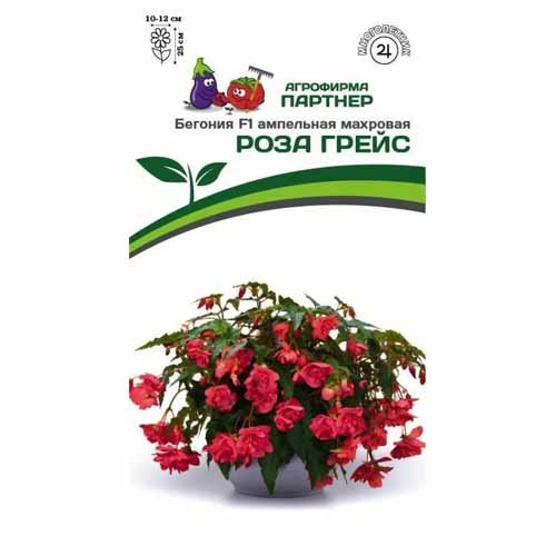 Бегония ампельная махровая Роза Грейс F1 Партнер артикул фото 1 Бегония ампельная махровая Роза Грейс F1 Партнер изображение 1 артикул 40803